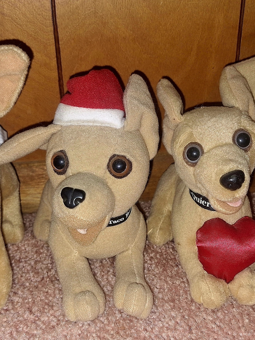 Taco Bell Dogs - Picture 2 of 3